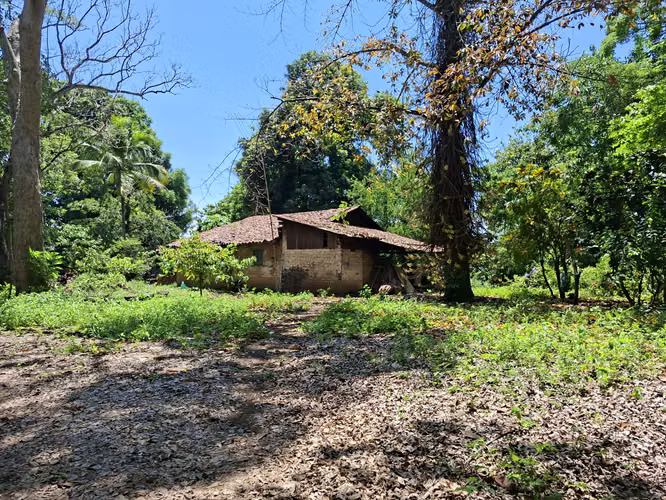 VENTA 60 MANZANAS TERRENO CONTIGUO  CIUDAD ACAJUTLA - Imagen 2