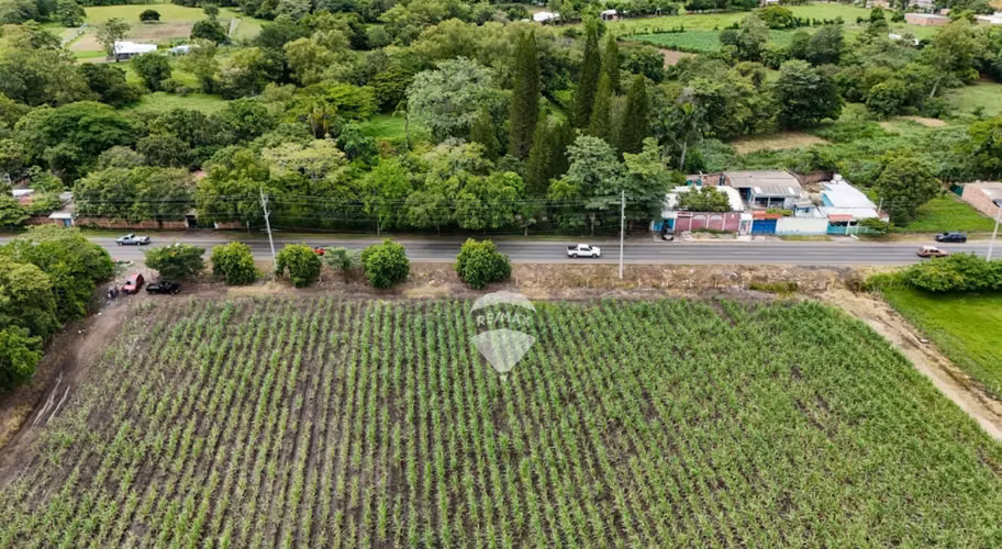 TERRENO EN VENTA PARA PROYECTO LOGÍSTICO O COMERCIAL, CARRETERA PANAMERICANA SANTA ANA - Imagen 9