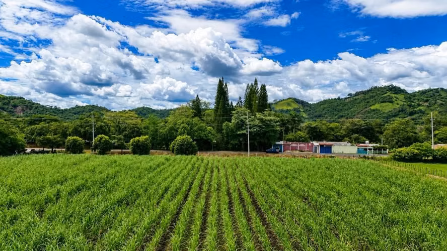 TERRENO EN VENTA PARA PROYECTO LOGÍSTICO O COMERCIAL, CARRETERA PANAMERICANA SANTA ANA - Imagen 4