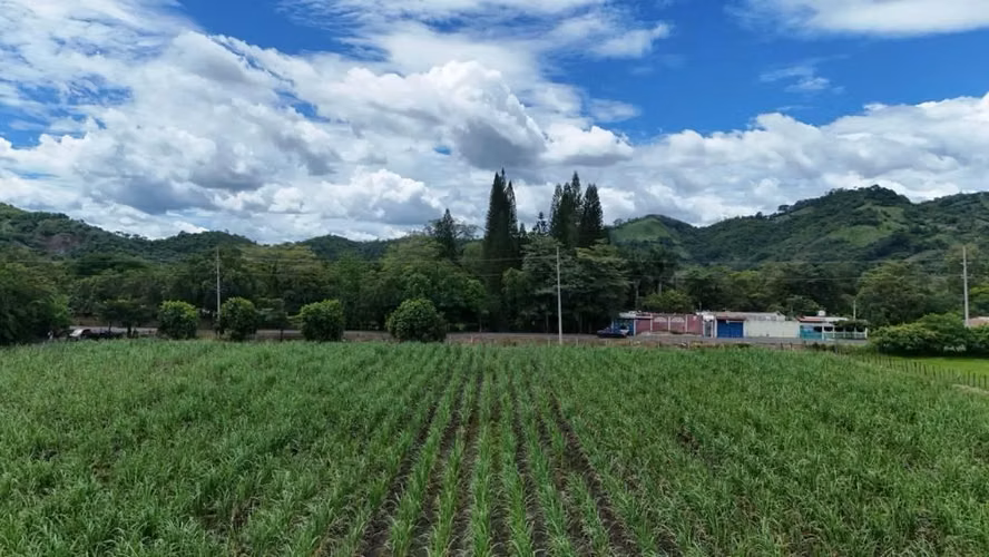 TERRENO EN VENTA PARA PROYECTO LOGÍSTICO O COMERCIAL, CARRETERA PANAMERICANA SANTA ANA - Imagen 2