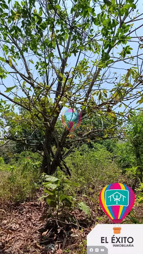 VENDO TERRENO EN HUIZUCAR - Imagen 3