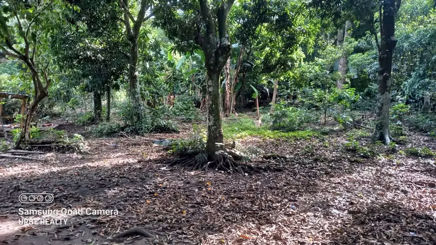  6,000 V² | $450,000 TERRENO EN VENTA | SAN RAMÓN, SAN SALVADOR.