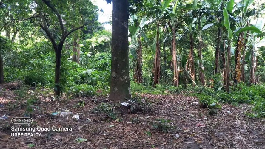  6,000 V² | $450,000 TERRENO EN VENTA | SAN RAMÓN, SAN SALVADOR.