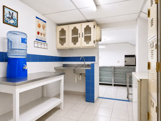 LOCAL COMERCIAL EN VENTA | CENTRO COMERCIAL BALAM QUITZÉ | COLONIA ESCALÓN - Imagen 7