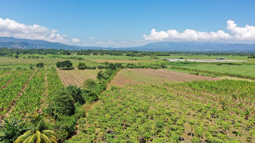 Terreno en Venta | San Juan Opico – Valle de Zapotitán