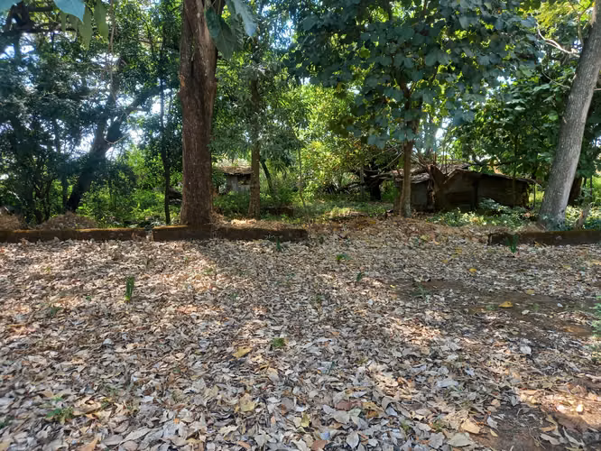 UN BOSQUE DE 3 MZAS A 4 CUADRAS DEL CENTRO DE ZACATECOLUCA - Imagen 2