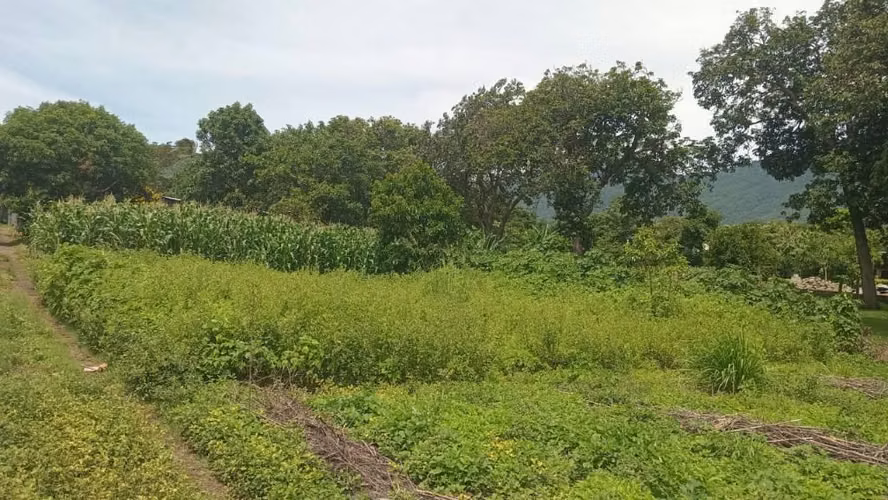 Terreno en venta