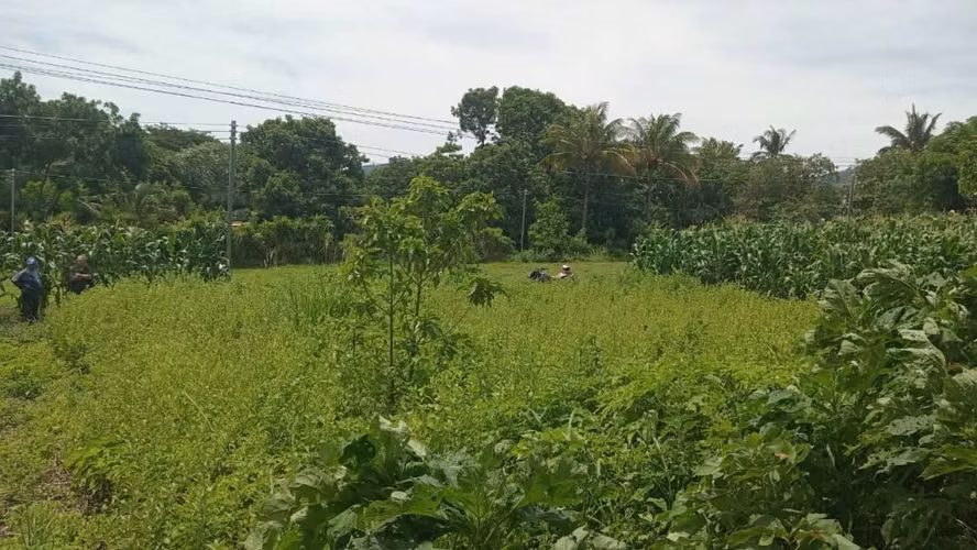 Terreno en venta