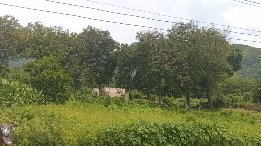 Terreno en venta