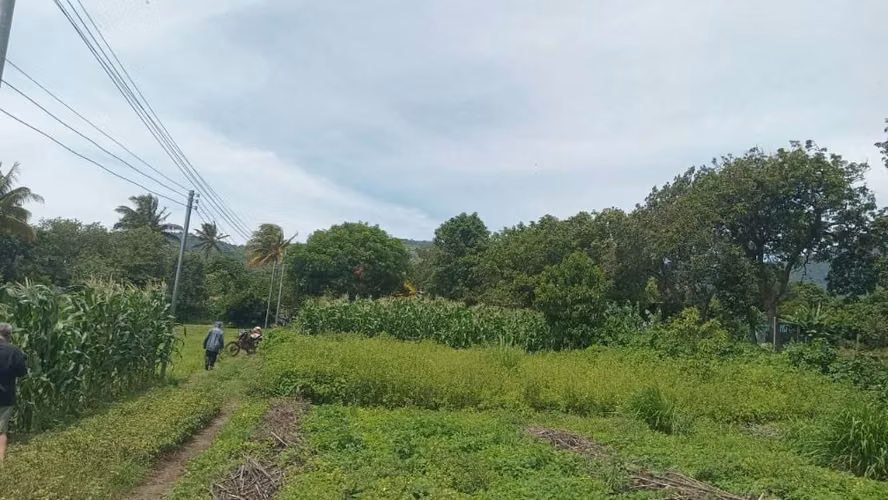 Terreno en venta