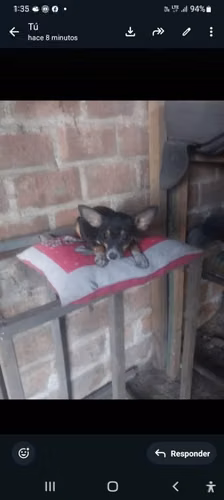 Vendo