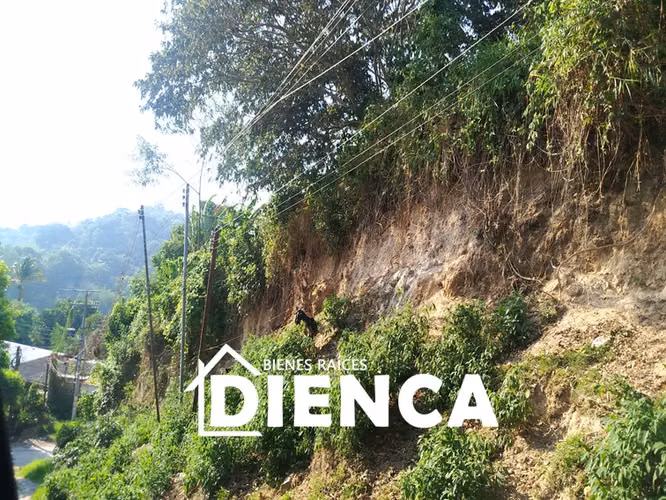 TERRENO EN SAN MARTIN CANTON LAS DELICIAS CALLE A SAN JOSE PRIMERO CON VISTA A LA CIUDAD A 900 MSNM