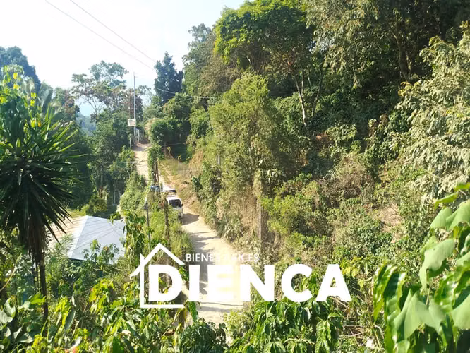 TERRENO EN SAN MARTIN CANTON LAS DELICIAS CALLE A SAN JOSE PRIMERO CON VISTA A LA CIUDAD A 900 MSNM