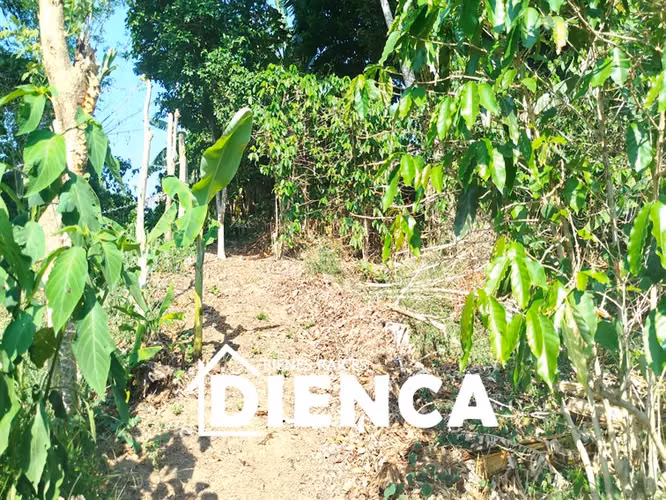 TERRENO EN SAN MARTIN CANTON LAS DELICIAS CALLE A SAN JOSE PRIMERO CON VISTA A LA CIUDAD A 900 MSNM