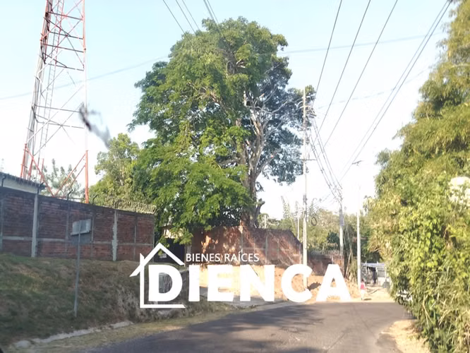 TERRENO EN SAN MARTIN CANTON LAS DELICIAS CALLE A SAN JOSE PRIMERO CON VISTA A LA CIUDAD A 900 MSNM