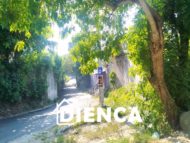 TERRENO EN SAN MARTIN CANTON LAS DELICIAS CALLE A SAN JOSE PRIMERO CON VISTA A LA CIUDAD A 900 MSNM