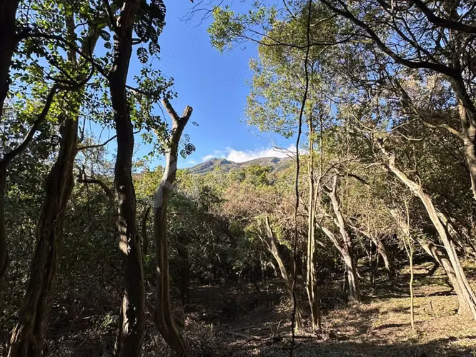 Terreno en venta en Cerro Verde