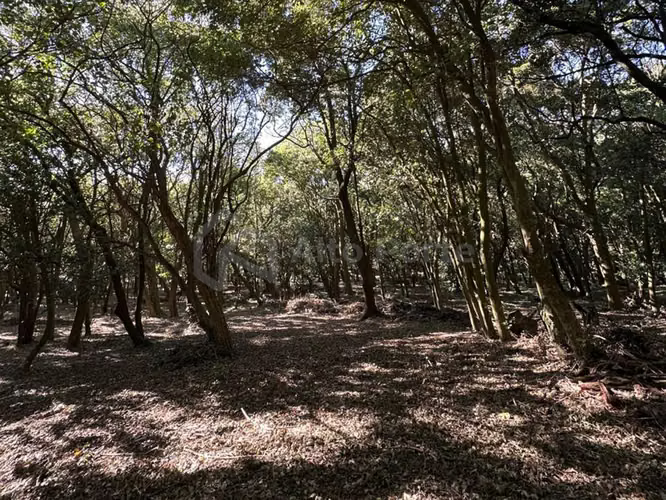 Terreno en venta en Cerro Verde