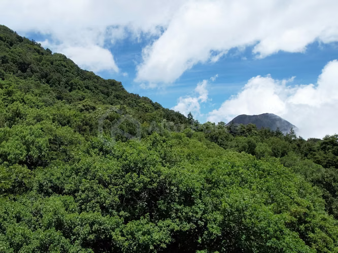 Terreno en venta en Cerro Verde