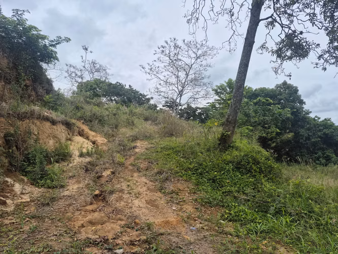 Bonito Terreno en Comasagua - Imagen 3