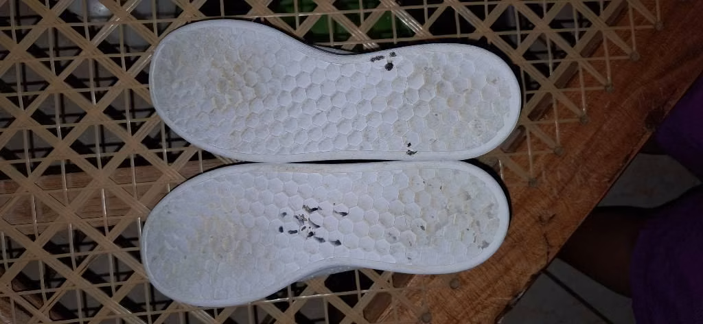 Tenis Adidas Advantage Originales de Mujer (Nuevos)