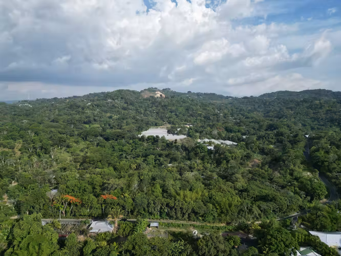 Hermoso Terreno de 3,000 v² en Comasagua – Clima de Montaña y Naturaleza