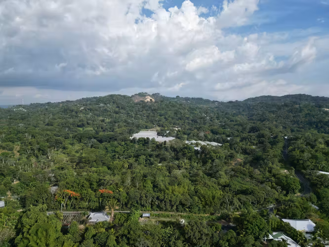 Hermoso Terreno de 3,000 v² en Comasagua – Clima de Montaña y Naturaleza