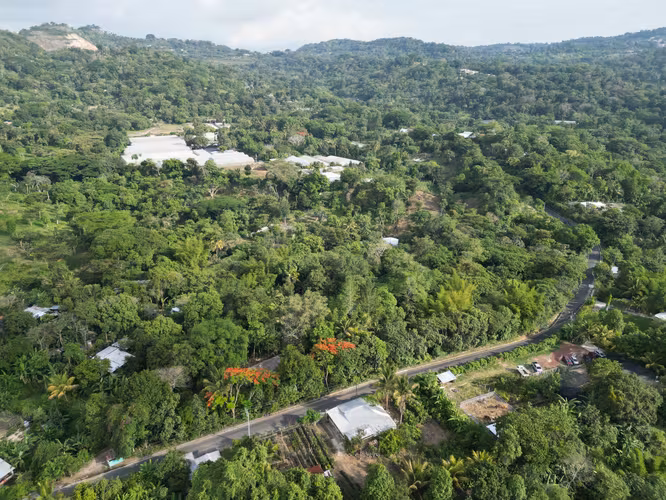 Hermoso Terreno de 3,000 v² en Comasagua – Clima de Montaña y Naturaleza