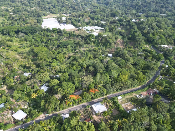 Hermoso Terreno de 3,000 v² en Comasagua – Clima de Montaña y Naturaleza