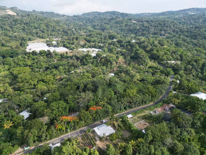 Hermoso Terreno de 3,000 v² en Comasagua – Clima de Montaña y Naturaleza