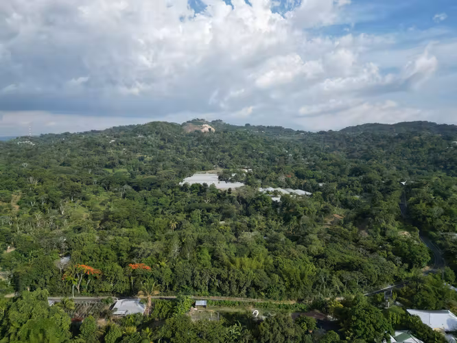 Hermoso Terreno de 3,000 v² en Comasagua – Clima de Montaña y Naturaleza