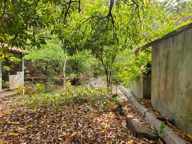 #SE VENDE CASA SOBRE LA SÉPTIMA AVE. NORTE MEDIDAS 15 . 60.  ×  43 . 40 - Imagen 2