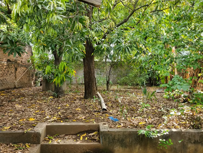 #SE VENDE CASA SOBRE LA SÉPTIMA AVE. NORTE MEDIDAS 15 . 60.  ×  43 . 40 - Imagen 3