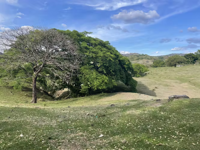 SALE OF 8.66 BLOCKS OF LAND IN SAN FRANCISCO THE GOLDEN, SN ISIDRO, CABINS