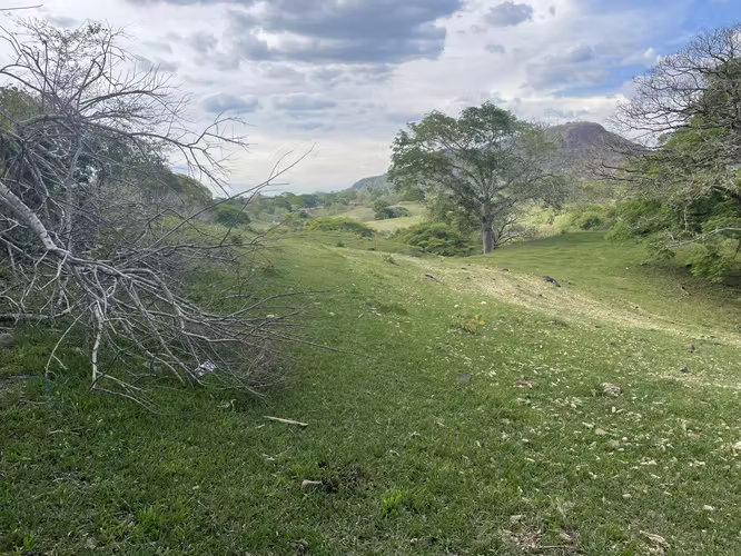 VENTA DE 8.66 MANZANAS DE TERRENO EN SAN FRANCISCO EL DORADO, SN ISIDRO, CABAÑAS