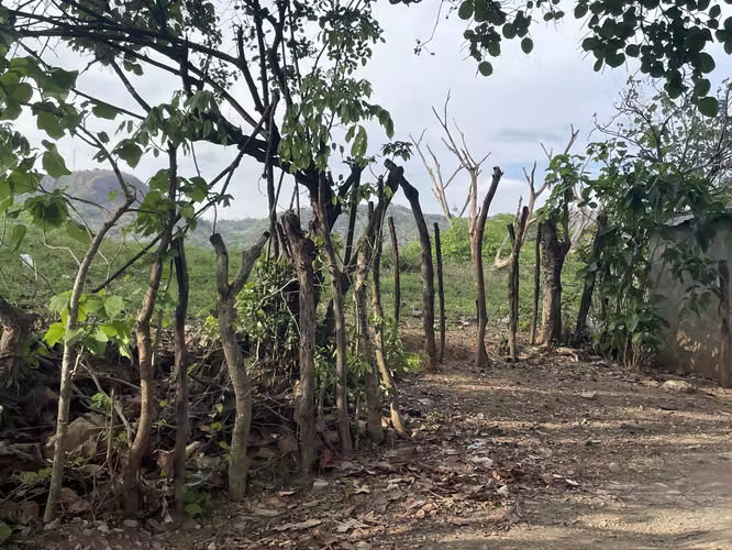 VENTA DE 8.66 MANZANAS DE TERRENO EN SAN FRANCISCO EL DORADO, SN ISIDRO, CABAÑAS