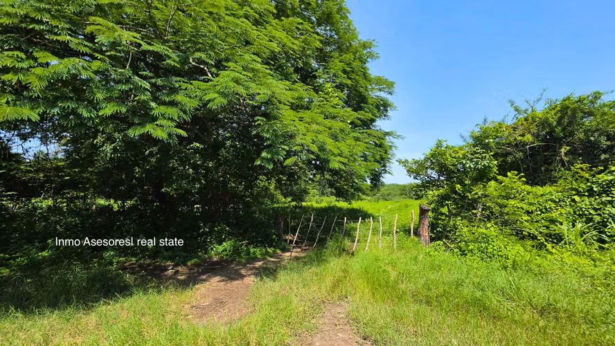 Hacienda ganadera y agrícola en venta - Oportunidad de inversion en Nueva Concepcion