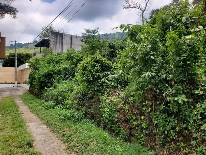 SE VENDE LOTE GRANDE EN LA PARTE ALTA DE LA EXCLUSIVA COLONIA ESCALÓN, SAN SALVADOR