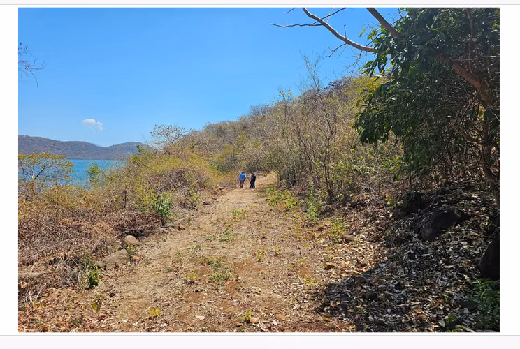 VENTA 34.4 MANZANAS PUNTA CHIQUIRIN LA UNION