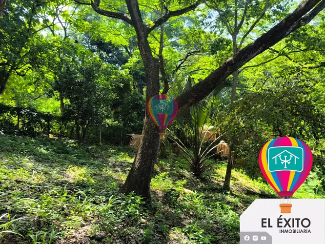 VENDO PRECIOSA QUINTA EN CALUCO, SONSONATE - Imagen 16