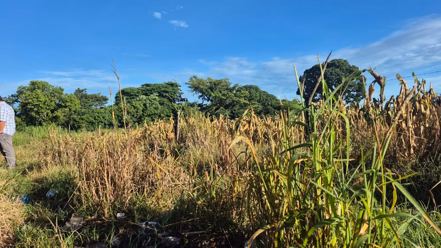 Terrenos en Venta – Carretera Los Naranjos, Santa Ana