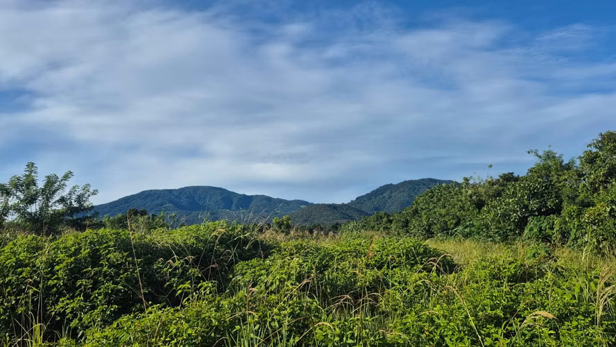  Terrenos en Venta – Carretera Los Naranjos, Santa Ana