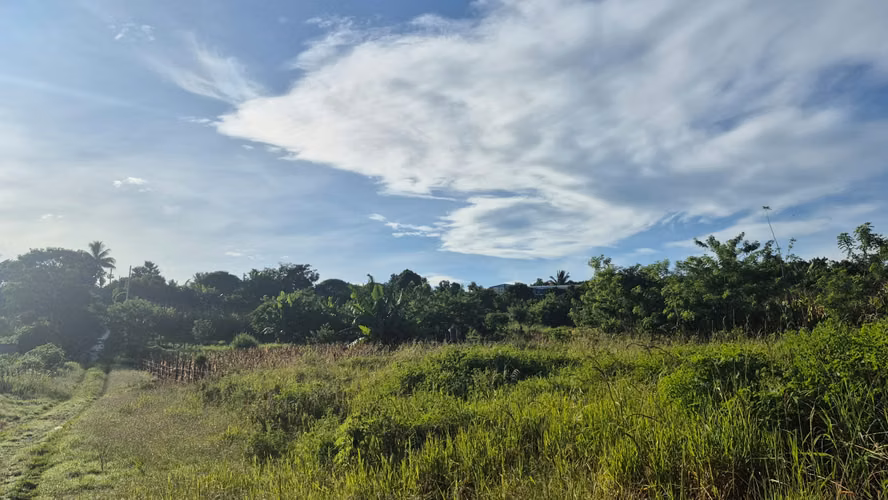  Terrenos en Venta – Carretera Los Naranjos, Santa Ana