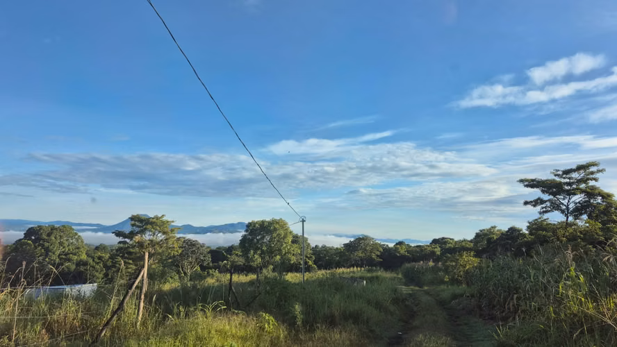  Terrenos en Venta – Carretera Los Naranjos, Santa Ana