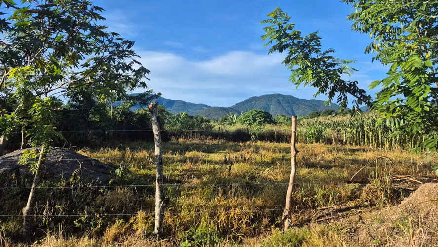  Terrenos en Venta – Carretera Los Naranjos, Santa Ana