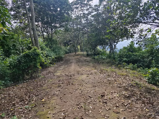 OPORTUNIDAD DE INVERSION DE TERRENO EN  COMASAGUA