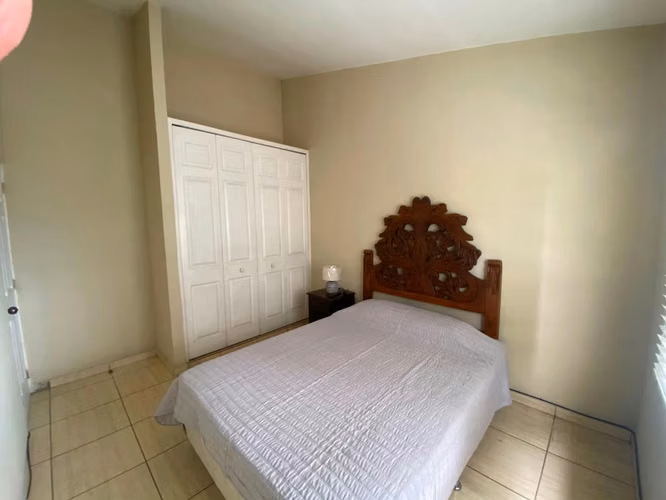 Apto Amueblado Amplio en Colonia San Benito | US$1,500