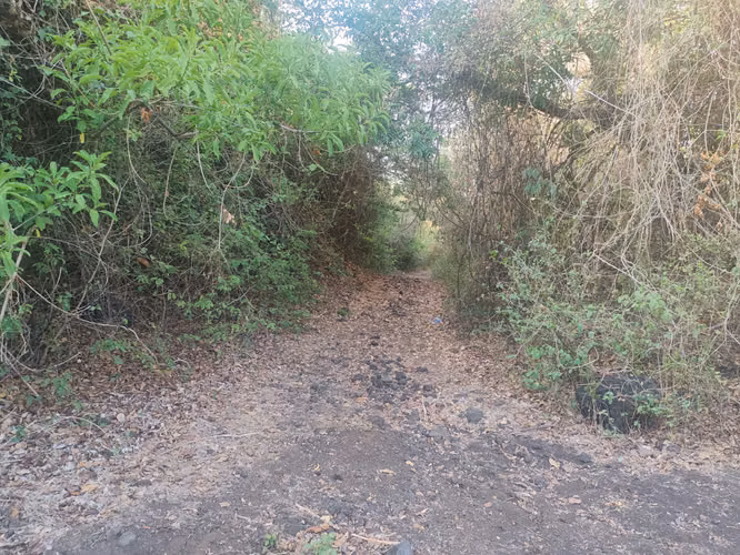 CNTON SAN ANDRES, TERRENO SAN MIGUEL