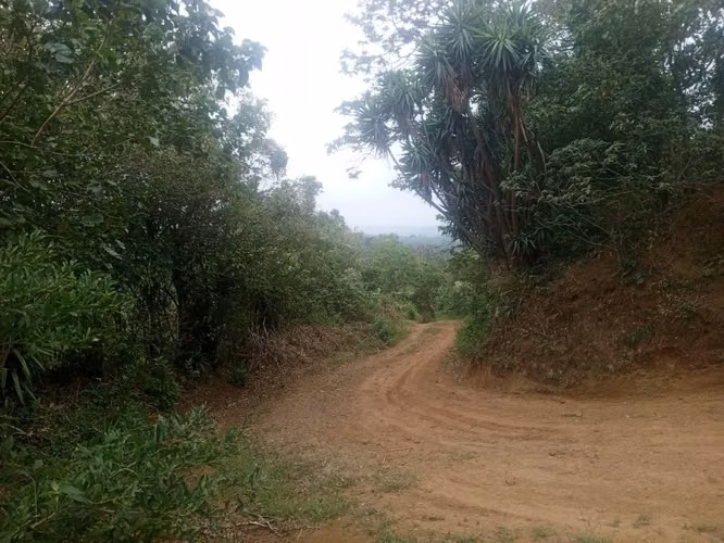 Venta de Finca Caficultora