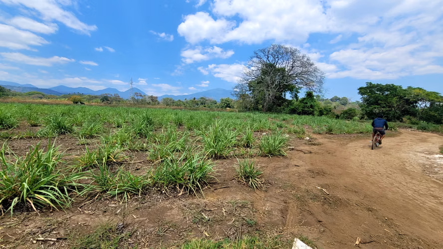 Terreno en alquiler en Sonsonate – Ideal para camiones, logística (3 manzanas)